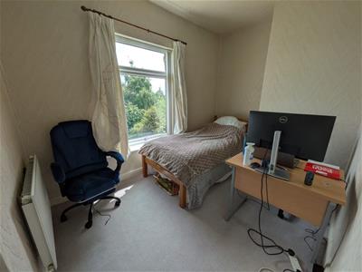 Picture 7